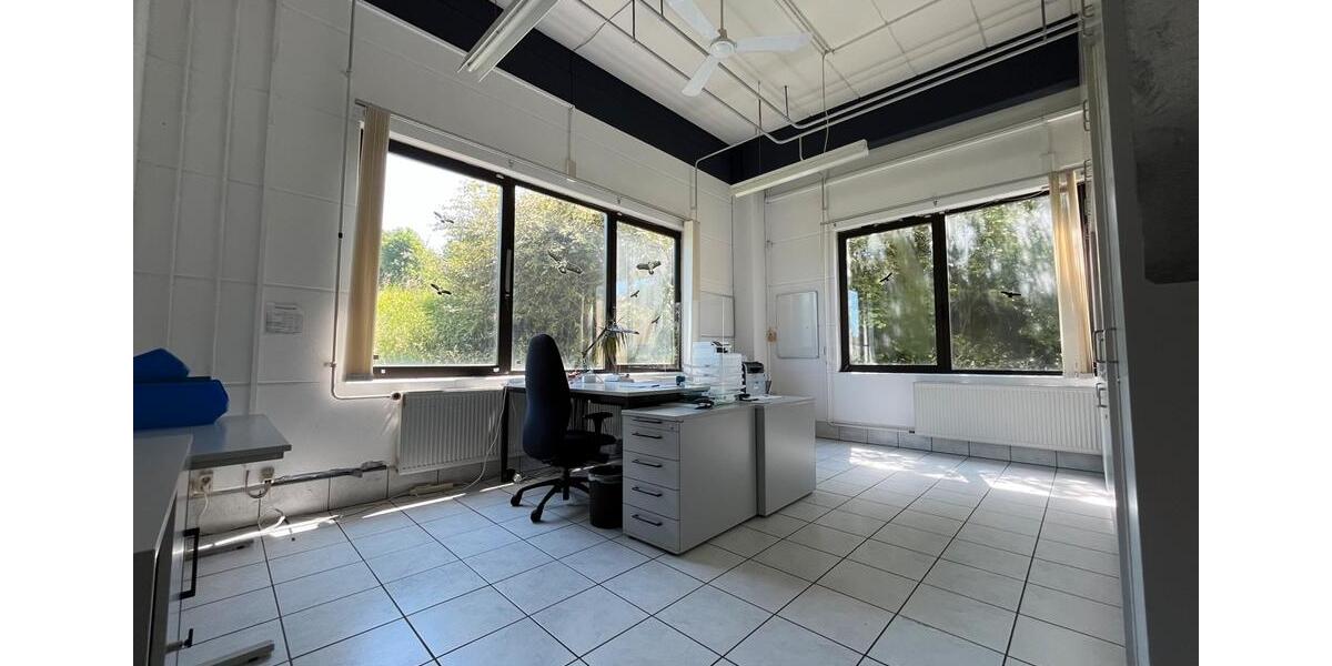 Gewerbeobjekt Floß - 4.982&euro; | Angebot:23770534