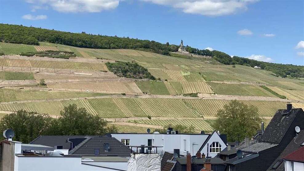 Wohnung zum Mieten in Bingen am Rhein 630 € 65 m²