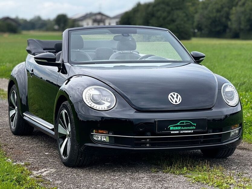 Beetle