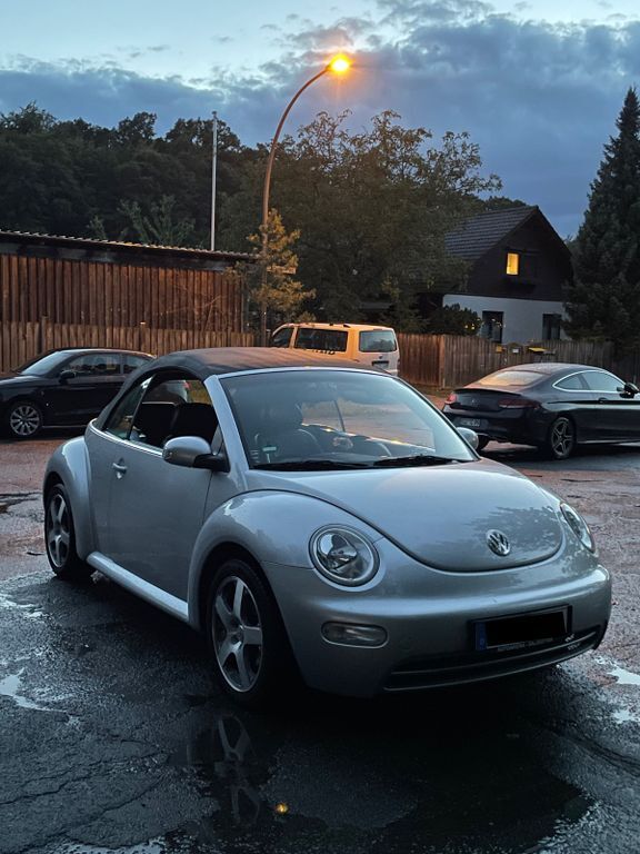 Beetle