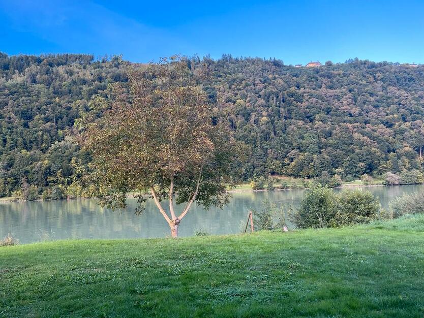 Haus Nähe Passau in Wesenufer an der Donau zu vermieten