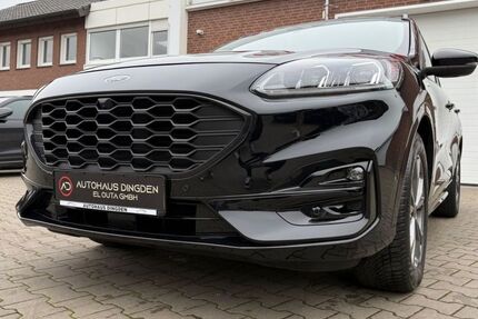 Ford Kuga 28.000 km 23.950 € Hamminkeln 46499