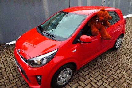 Kia Picanto 10.700 km 11.399 &euro; Kreuztal-Krombach 57223