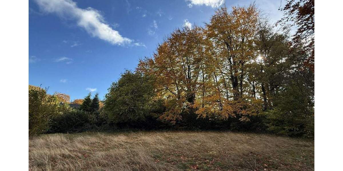 Grundstück Roetgen Rott - 460.000&euro; | Angebot:23970293