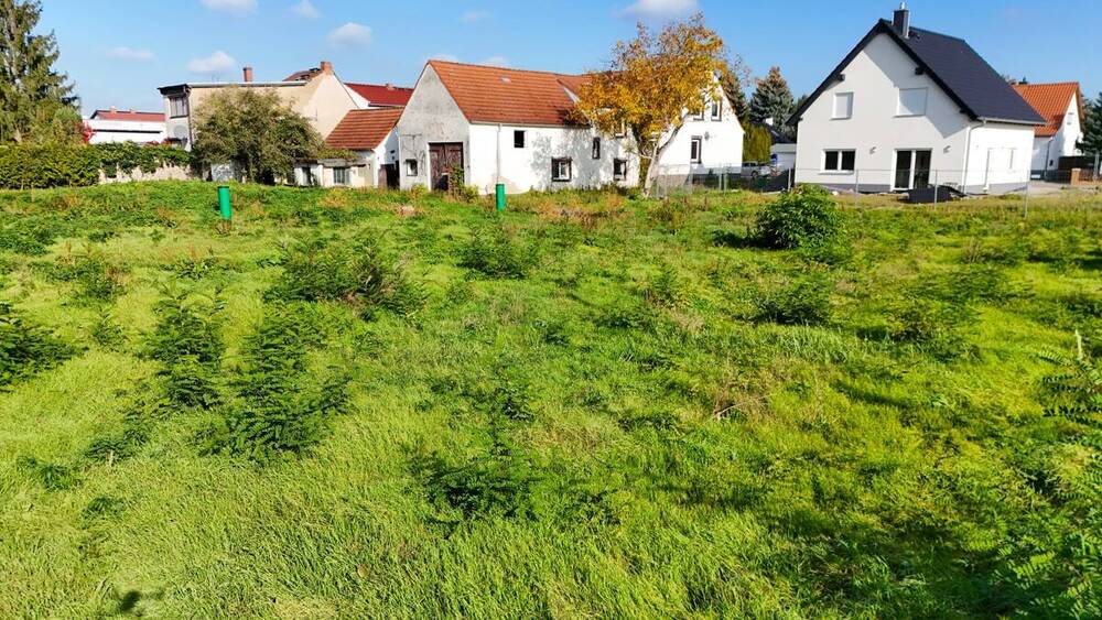 Grundstück Sandersdorf-Brehna Zscherndorf - 69.900&euro; | Angebot:25736657