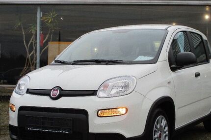 Fiat Panda 24.500 km 13.990 &euro; Lingen - Baccum 49811