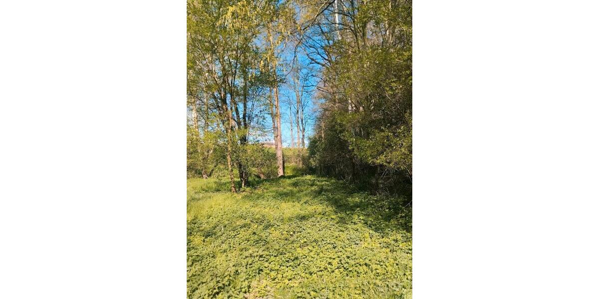 Einfamilienhaus Nossen - 6 Zimmer, 184 m&sup2;, 171.000&euro; | Angebot:26331355