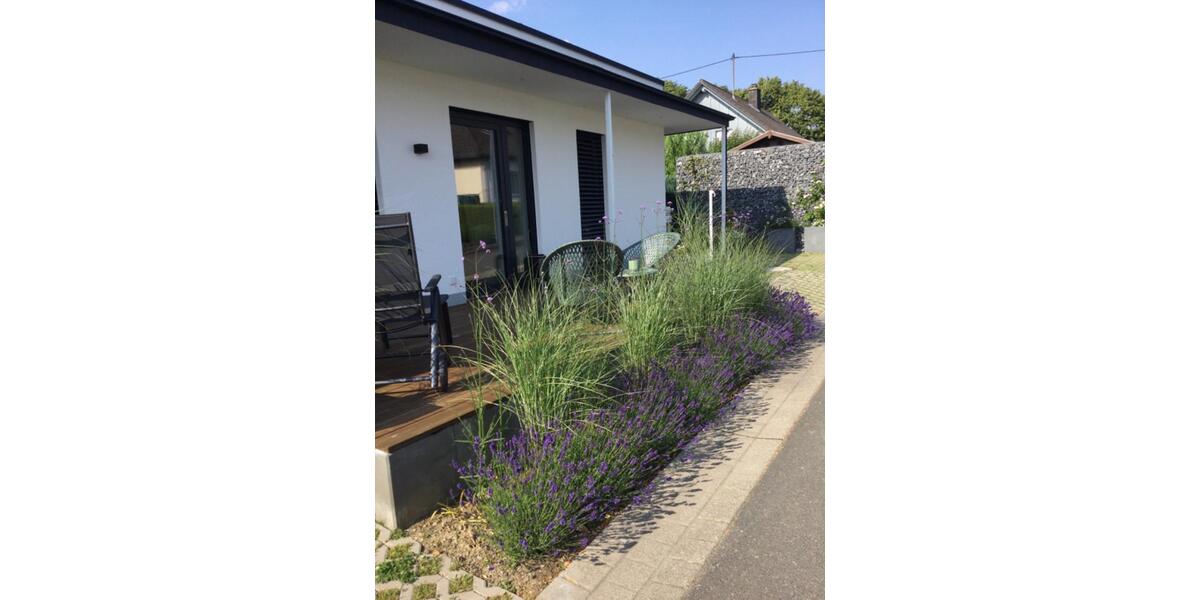 Erdgeschoßwohnung Morbach - 1 Zimmer, 50 m&sup2;, 600&euro; | Angebot:24831000