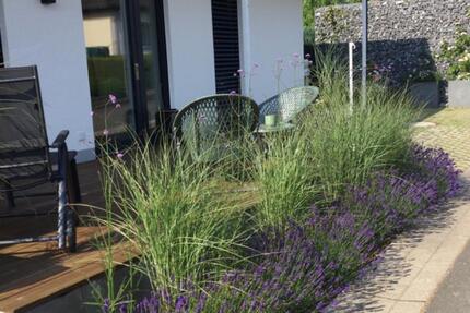 Wohnung Morbach - 1 Zimmer, 50 m&sup2;, 600&euro; | Angebot:24831000