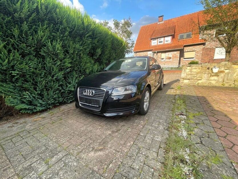 A3