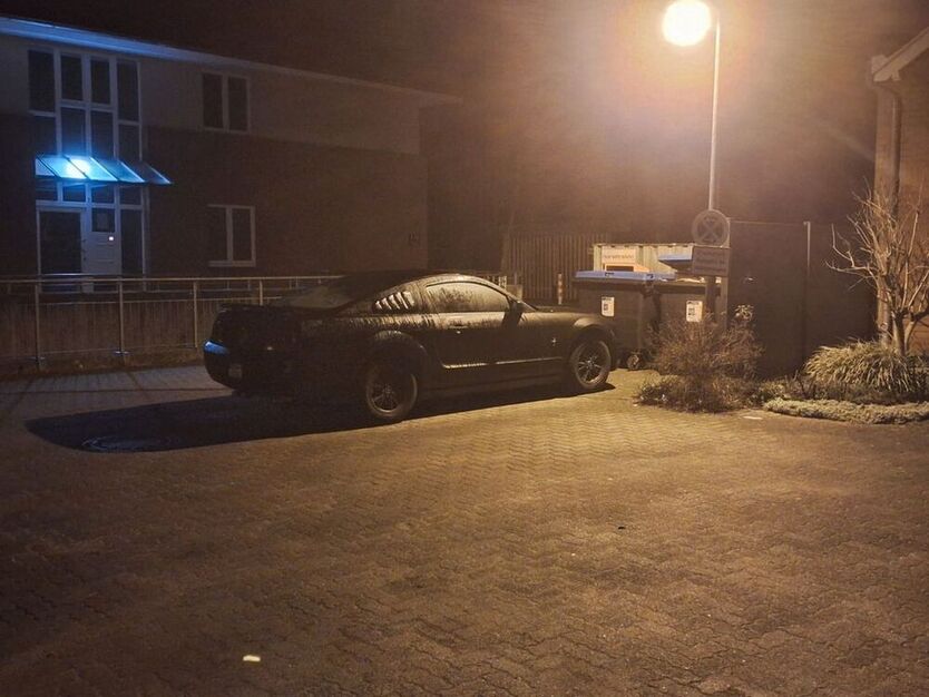 Mustang