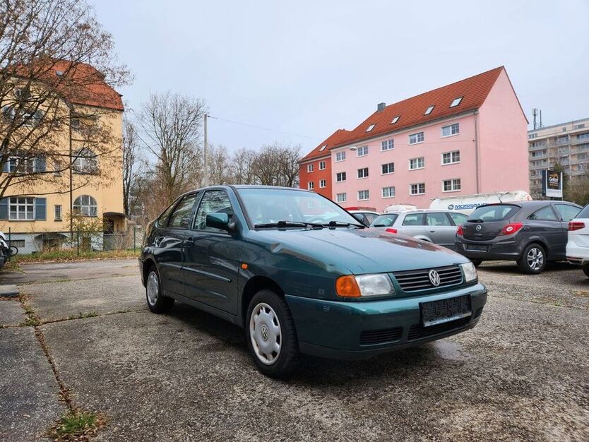 Polo