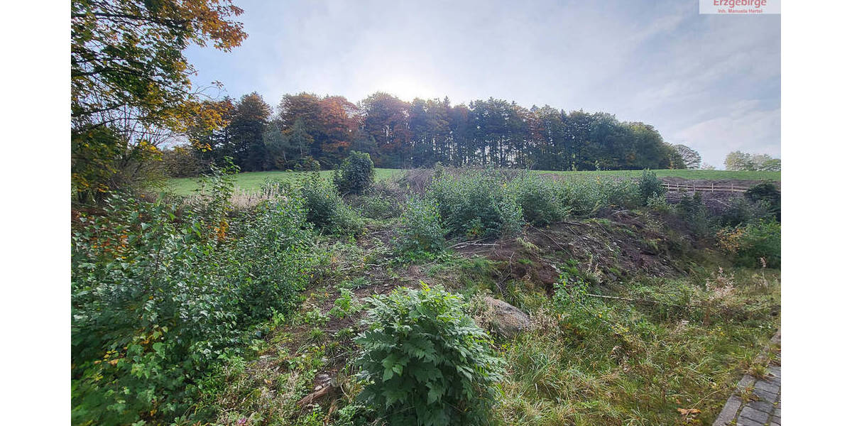 Grundstück Bockau - 62.500&euro; | Angebot:19337510