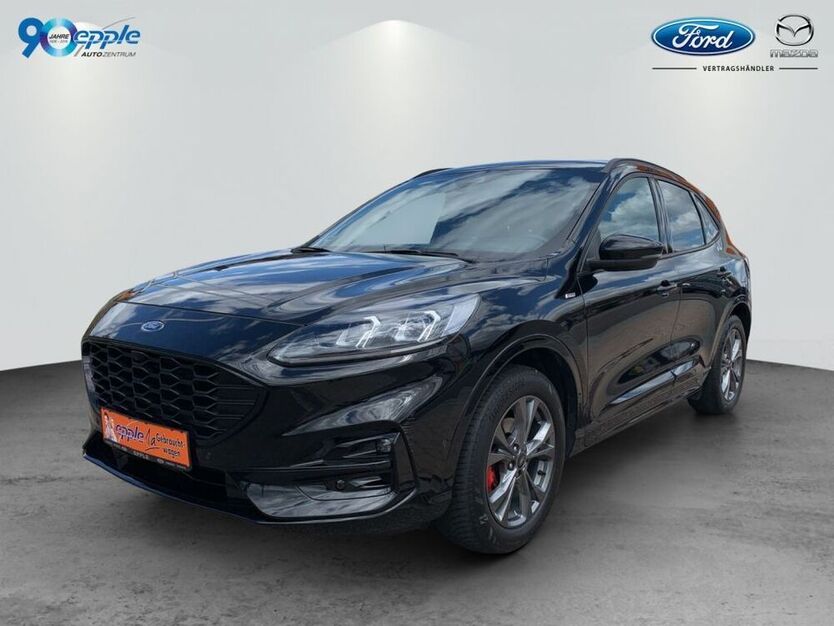 Kuga