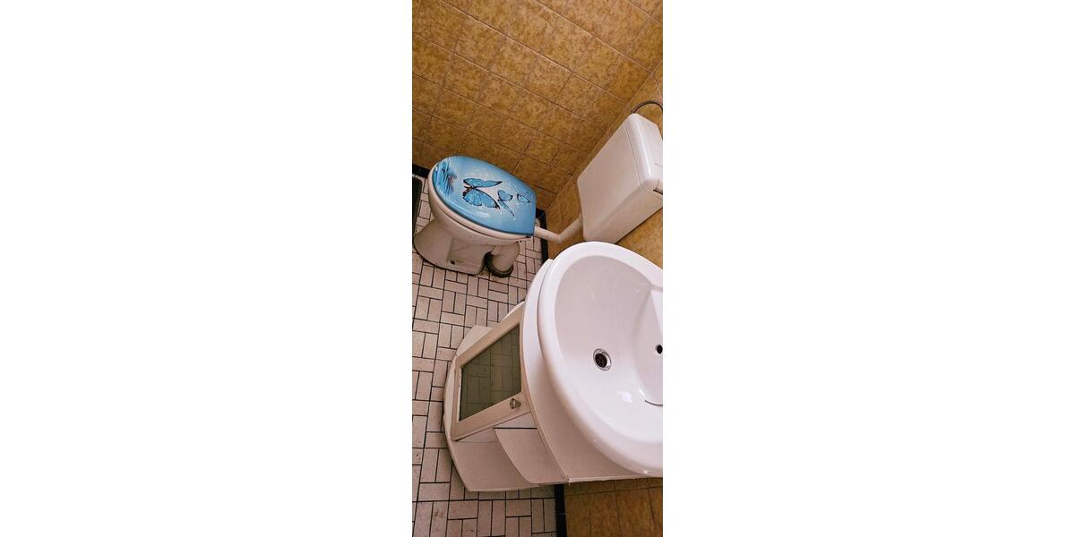 Haus, Scheune, Grillplatz, Hof, Stellplätze ,Garage 5 zimmer