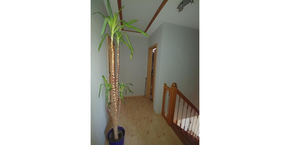 Einfamilienhaus nahe der Stadt Greifswald und der Ostsee gelegen 3 zimmer