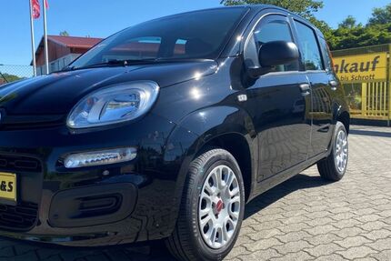 Fiat Panda 30.349 km 8.990 &euro; Cottbus/ Groß Gaglow 03051