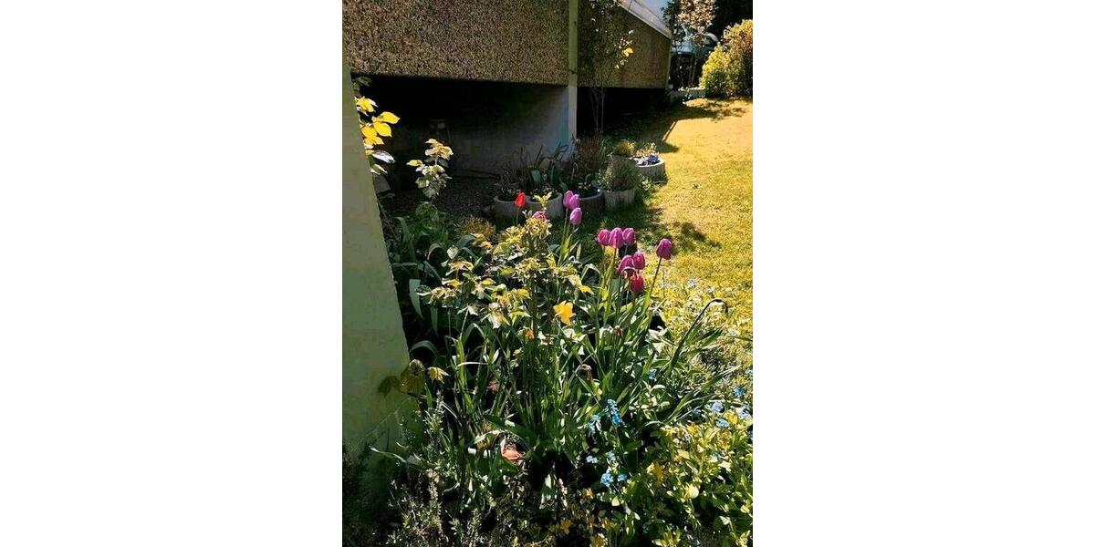 Hochparterre Bad Harzburg - 1 Zimmer, 42 m&sup2;, 57.500&euro; | Angebot:26337333