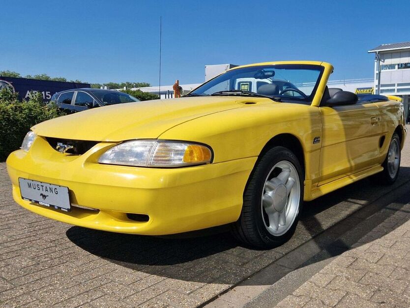 Mustang