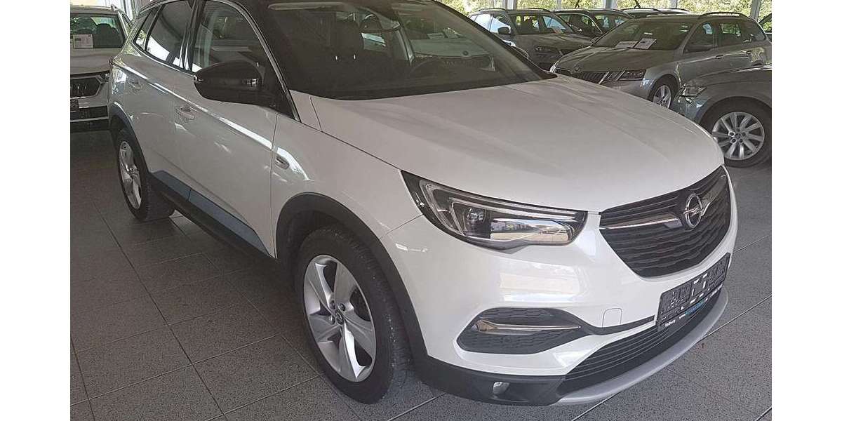 Opel Grandland X 110.128 km 15.450 &euro; Velburg-Süd 92355