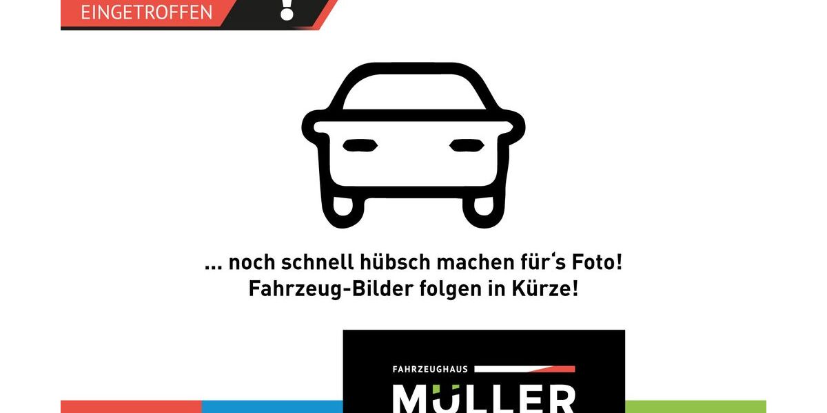 Cupra Formentor 94.570 km 21.990 &euro; Schleusingen 98553