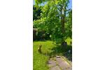 Einfamilienhaus Möhnesee - 2 Zimmer, 36 m&sup2;, 64.800&euro; | Angebot:25809260