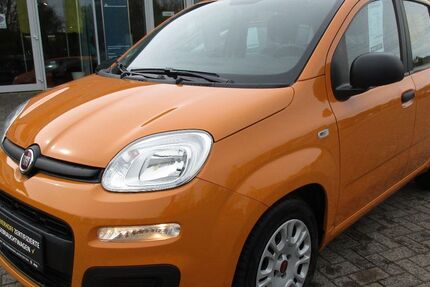 Fiat Panda 18.200 km 10.450 &euro; Lingen - Baccum 49811