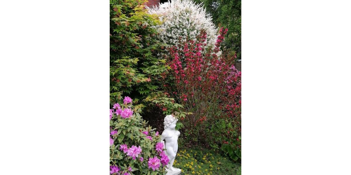 Einfamilienhaus Eitorf - 7 Zimmer, 235 m&sup2;, 589.000&euro; | Angebot:25963088