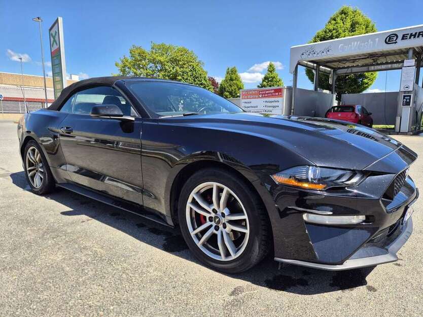 Mustang