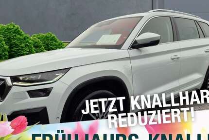 Skoda Kodiaq 138.490 km 28.770 &euro; Meiningen 98617