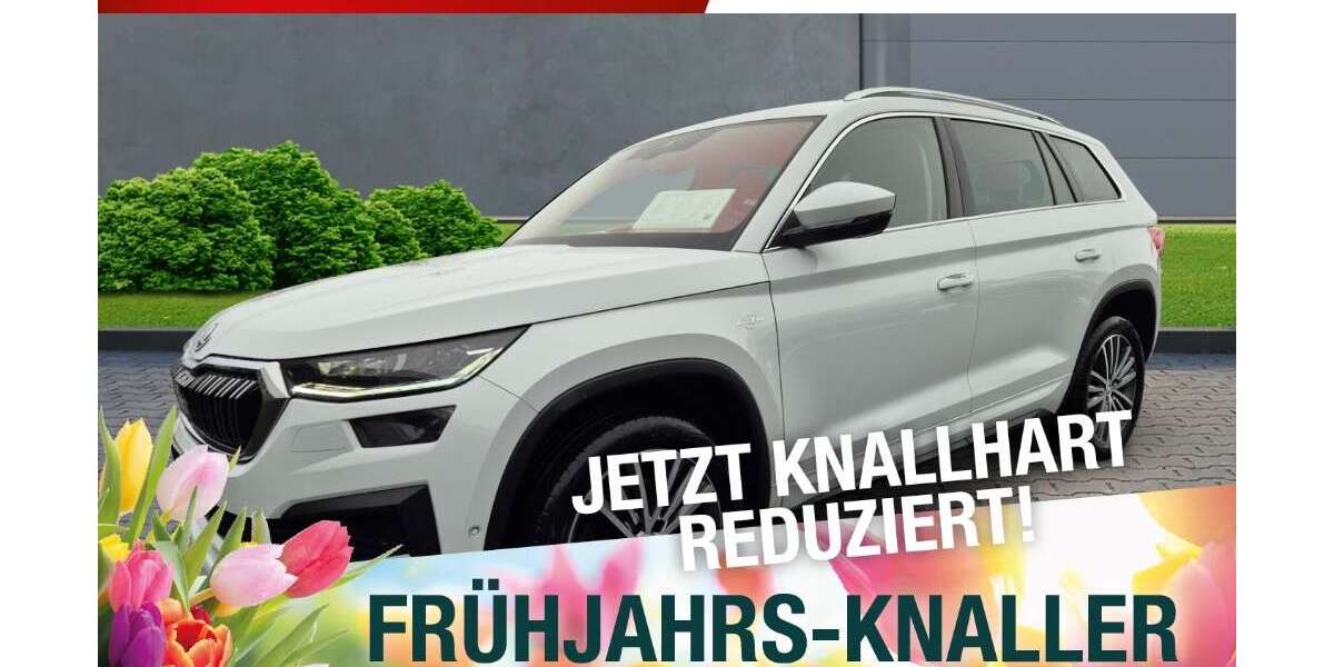 Skoda Kodiaq 138.490 km 28.770 &euro; Meiningen 98617