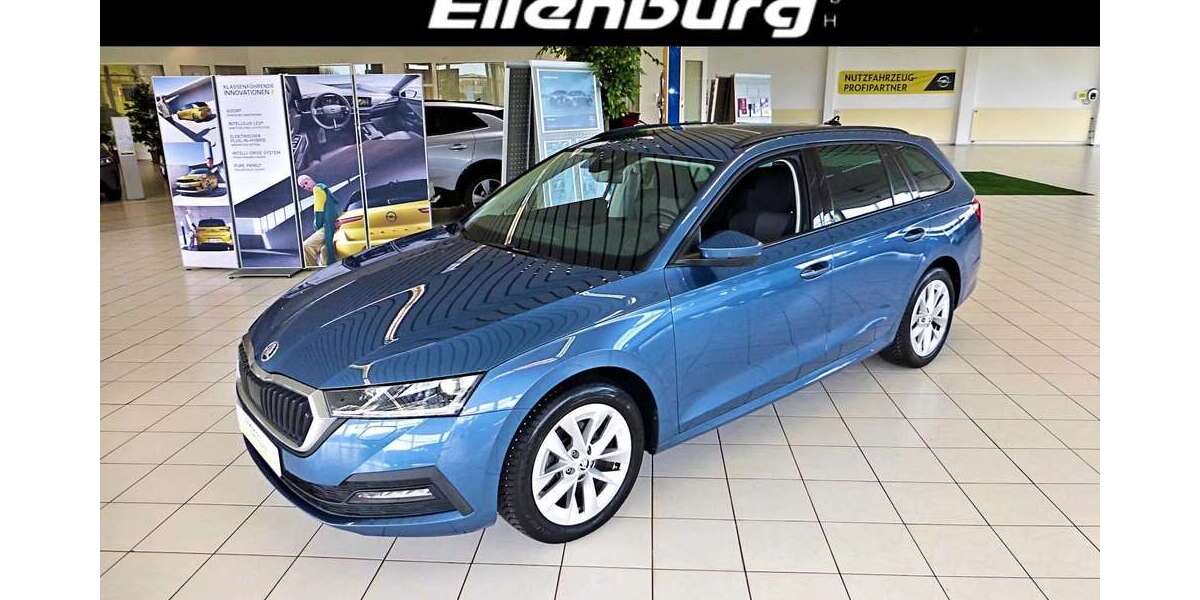 Skoda Octavia 79.200 km 18.790 &euro; Eilenburg 04838