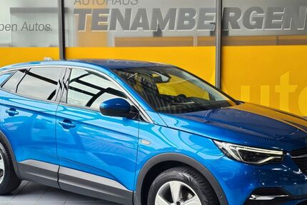 Opel Grandland (X) 60.600 km 14.450 &euro; Mettingen 49497