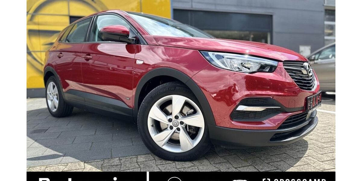 Opel Grandland (X) 30.000 km 20.890 &euro; Steinfurt 48565