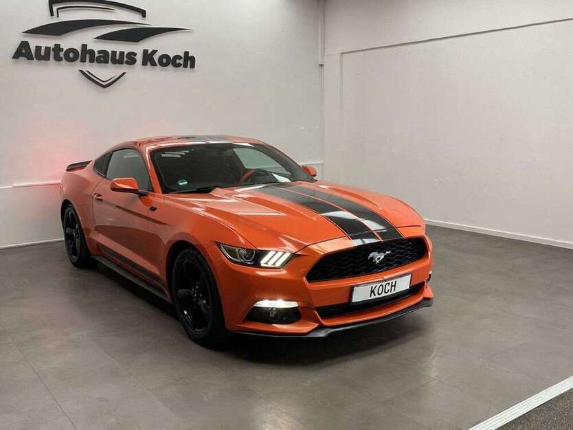 Mustang