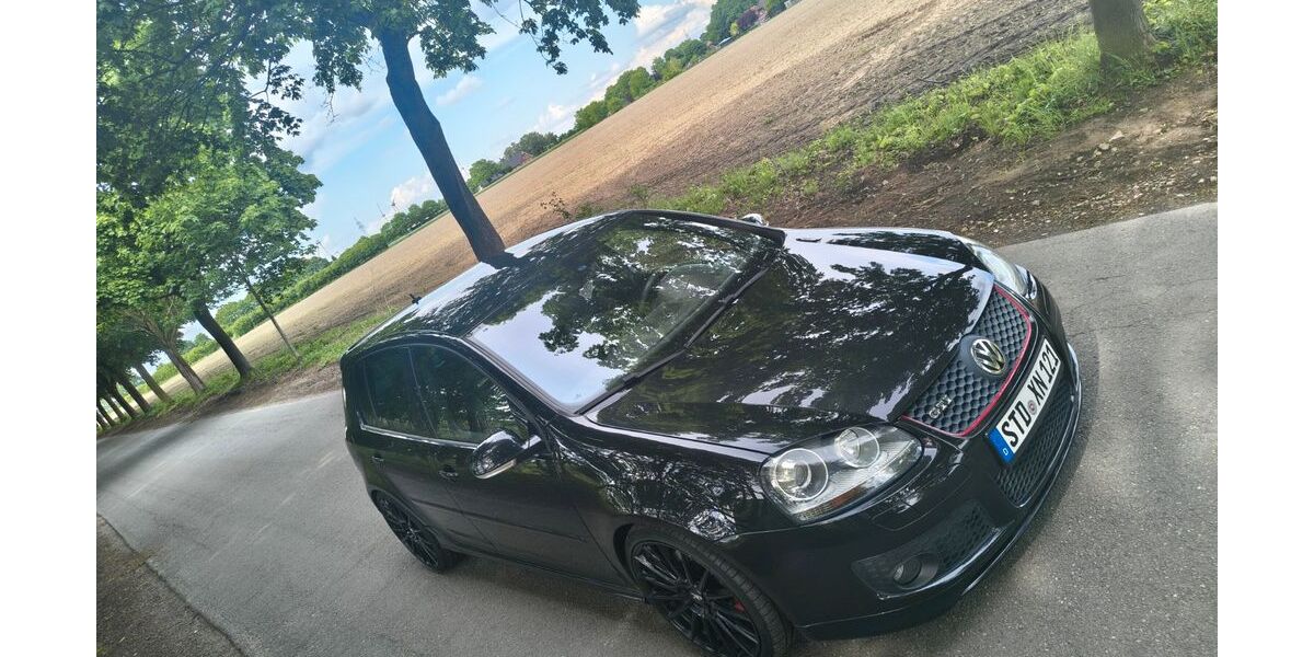 VW Golf 219.800 km 4.699 &euro; Bargstedt 21698