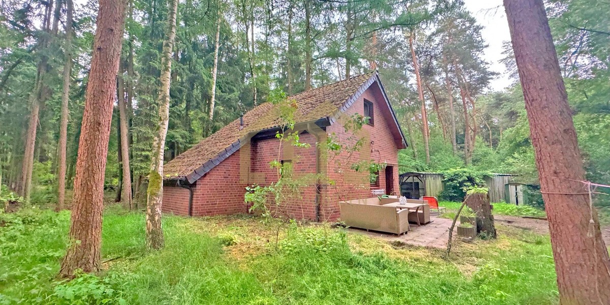 6.503 m² Naturparadies an der Hunte – Wochenendhaus in traumhafter Waldlage - Einfamilienhaus Wildeshausen | Angebot:26801669
