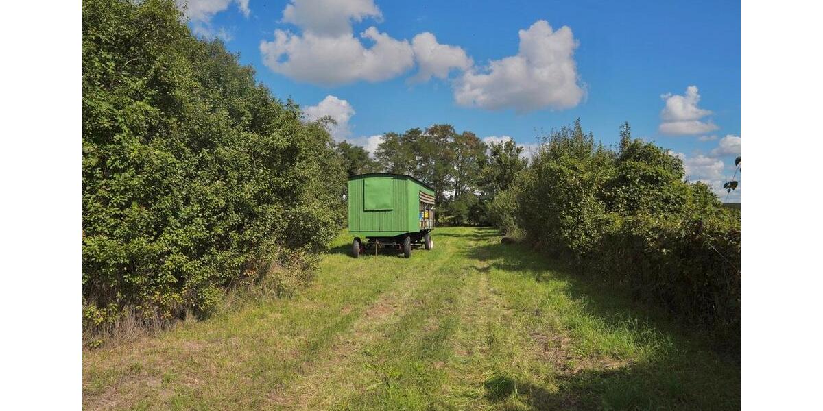 Bauernhaus, Landhaus Milower Land - 6 Zimmer, 150 m&sup2;, 409.000&euro; | Angebot:26038347