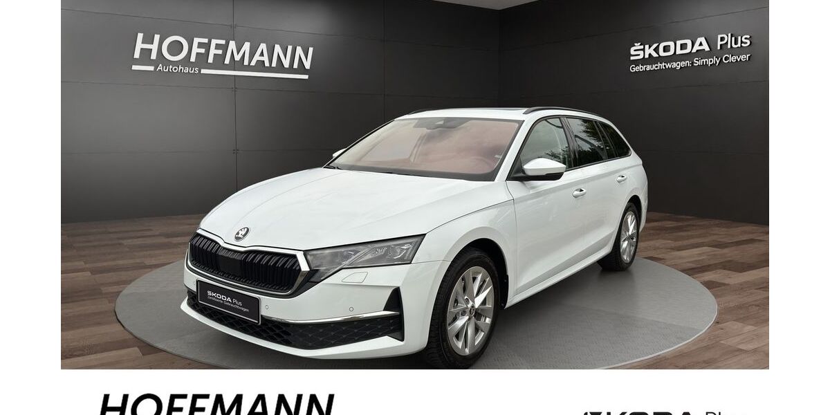 Skoda Octavia 18.300 km 31.990 € Burgwald-Bottendorf 35099