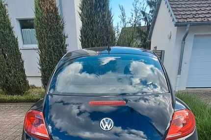 VW Beetle