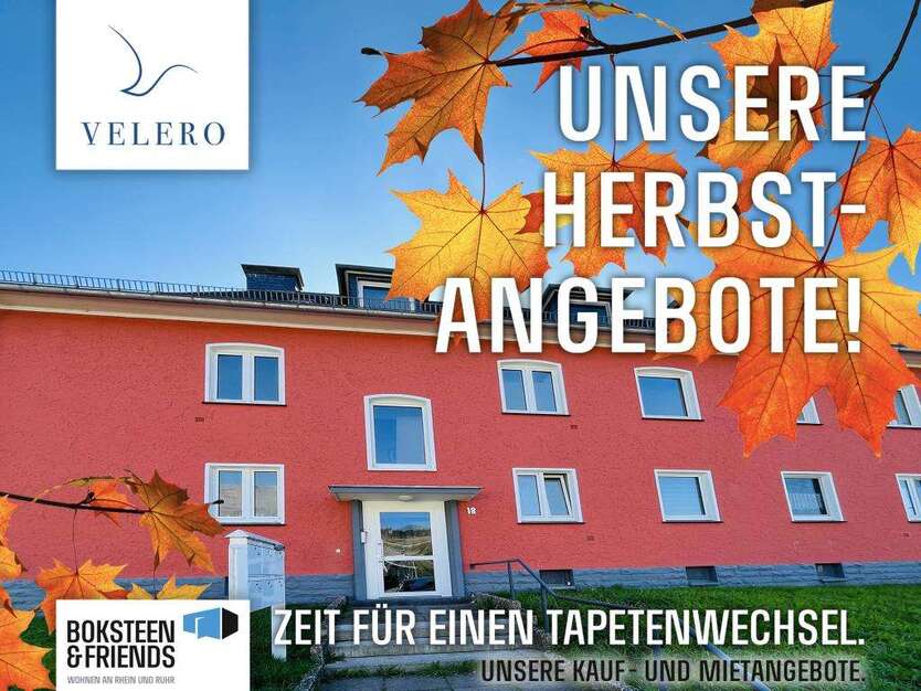 Wohnung zum Mieten in Bestwig 300 € 46.25 m² 2 zimmer