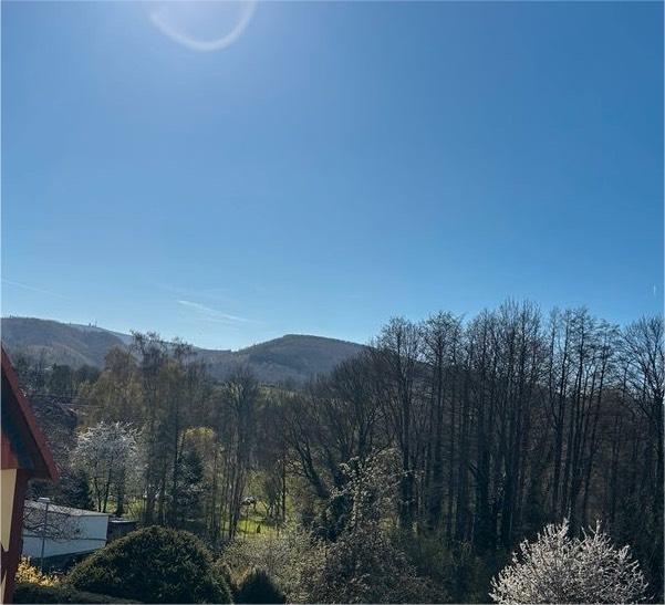 Doppelhaushälfte Ilsenburg (Harz) - 7 Zimmer, 128 m&sup2;, 165.000&euro; | Angebot:26529939
