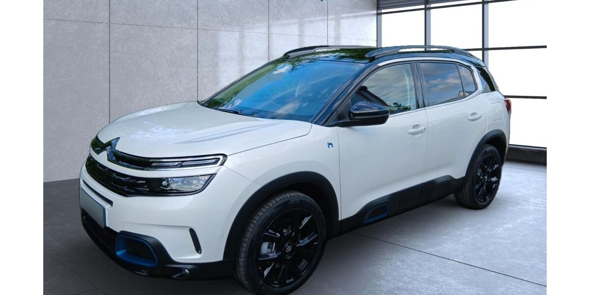 Citroen C5 Aircross 55.091 km 19.800 &euro; Oettersdorf 07907