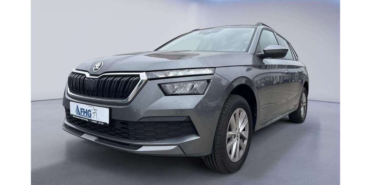 Skoda Kamiq 18.200 km 24.400 &euro; Kemberg OT Globig 06901