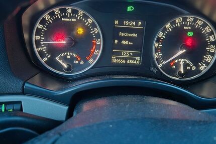 Skoda Octavia 189.864 km 7.150 € Prum 54595