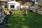 Mehrfamilienhaus, Wohnhaus Gransebieth - 210.000&euro; | Angebot:27097272