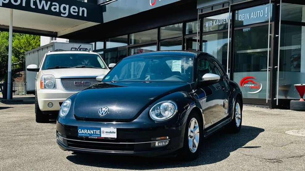 Beetle