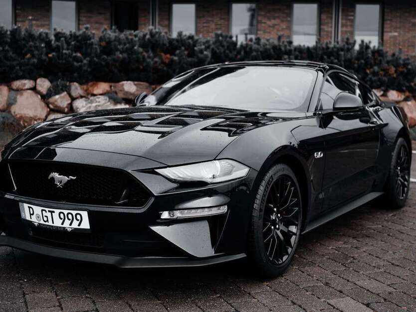 Mustang