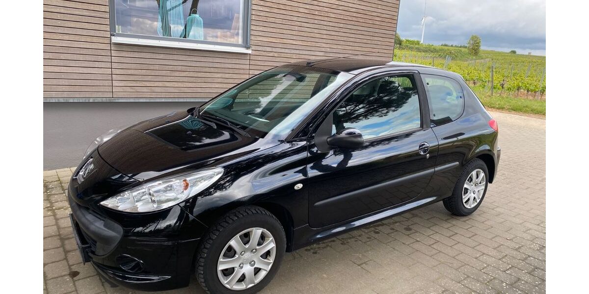 Peugeot 206 196.000 km 2.500 &euro; Flörsheim-Dalsheim 67592