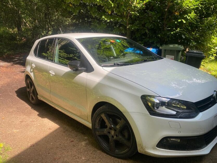 Polo